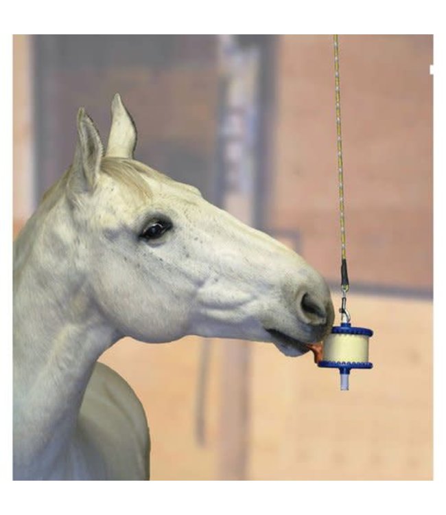 Likit Likit Treat Holder