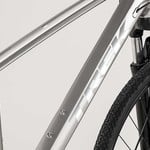 Trek Dual Sport 1 Women's (2019) Metallic Gunmetal