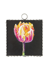 RTC Gallery Parrot Tulip