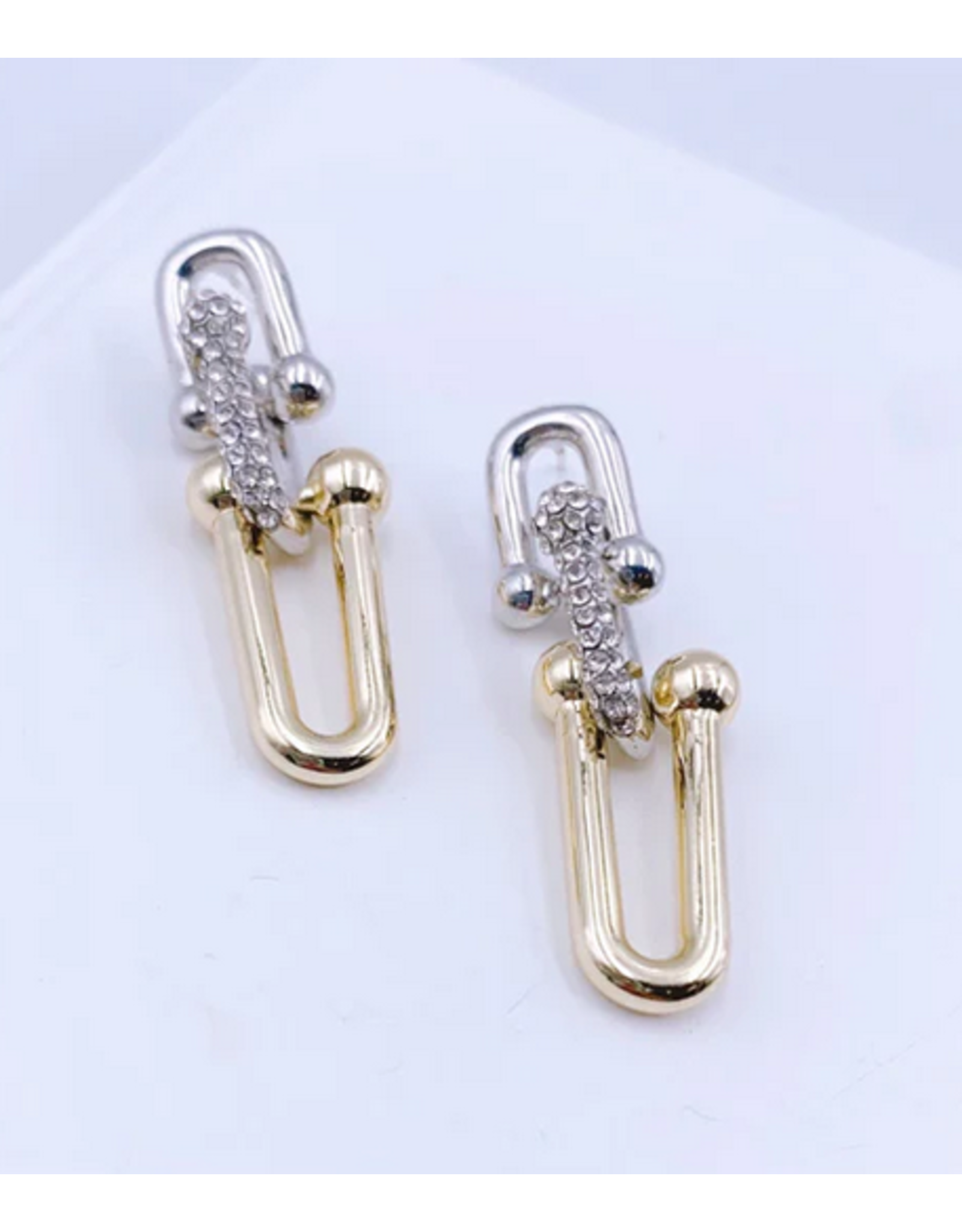 Treasure Jewels Two Tone Link Earrings