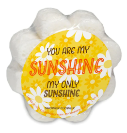 Caren You are My Sunshine Soap Sponge