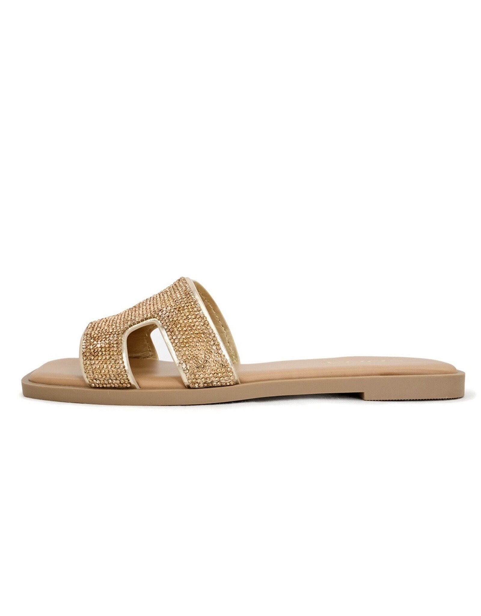 Aralia Gold Rhinestone Slide