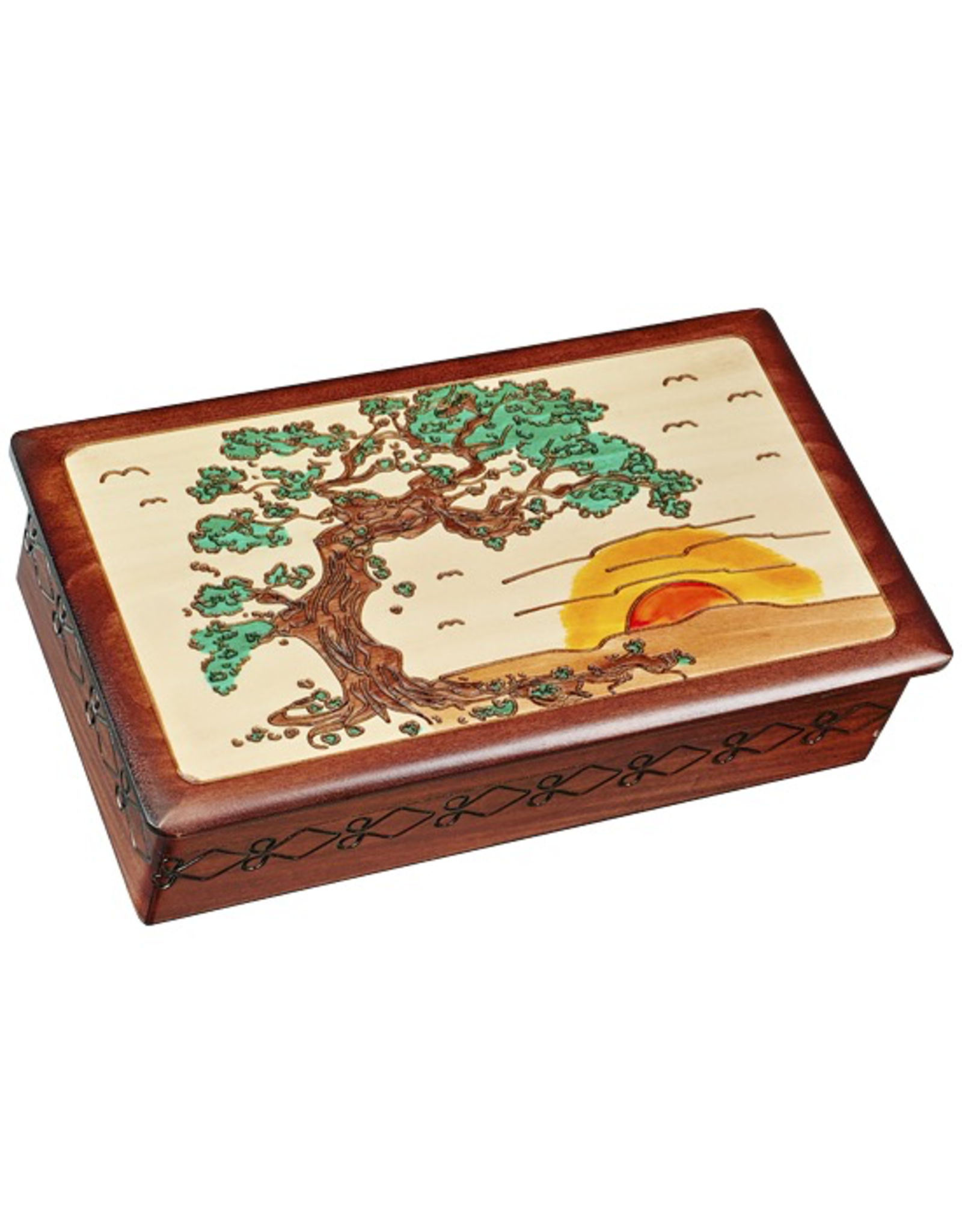 Enchanted Boxes Bonsai Wood Box