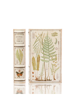 Enchanted Boxes Magical Fern World Book Box