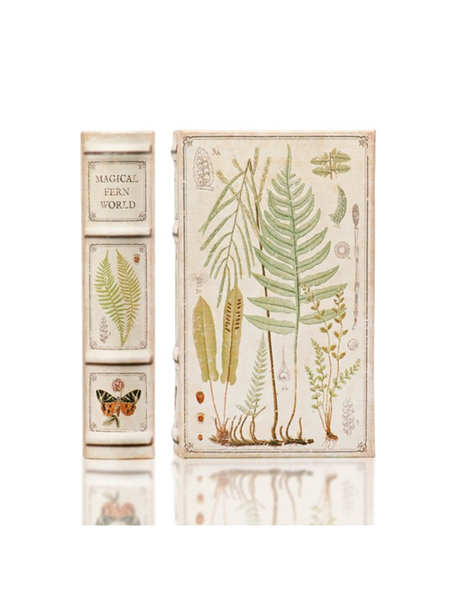 Enchanted Boxes Magical Fern World Book Box