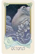 US Games Dreamscape Oracle Cards