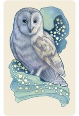 US Games Dreamscape Oracle Cards