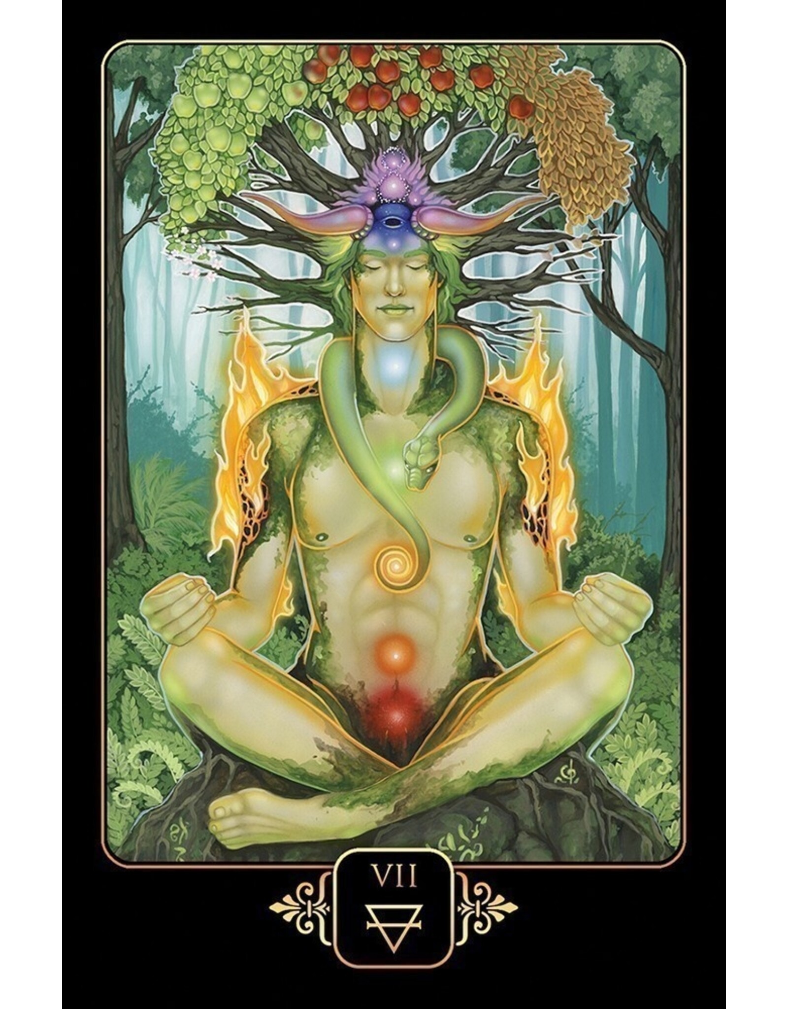 US Games Dreams of Gaia Tarot