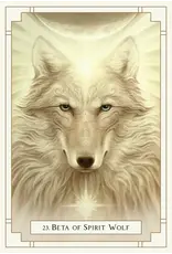US Games White Light Oracle