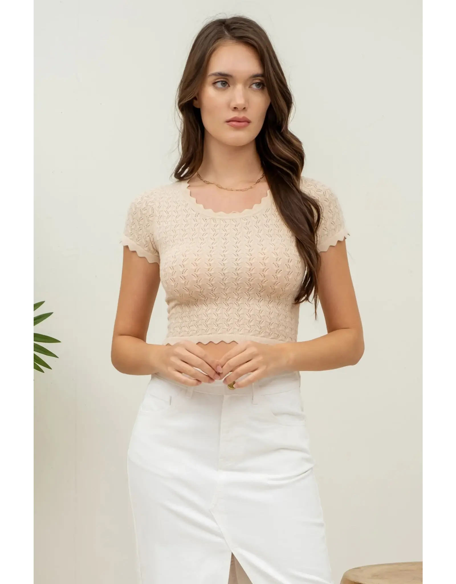 Blu Pepper Knit Eyelet Crop Sweater Top