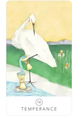 US Games Black Seed Tarot