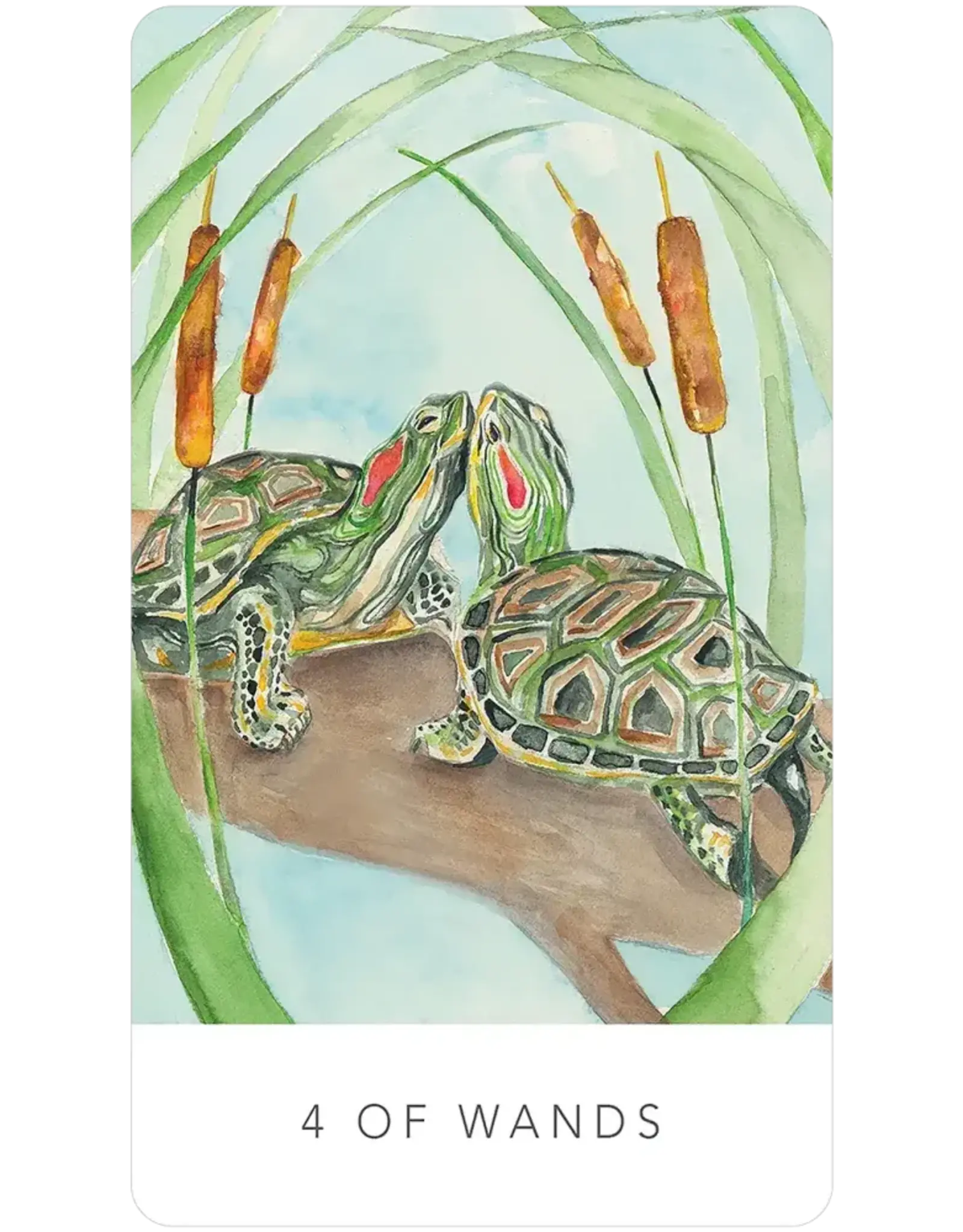 US Games Black Seed Tarot