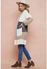 BNS Color Block Cardigan