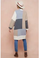 BNS Color Block Cardigan