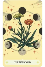 US Games Herbana Witch Oracle