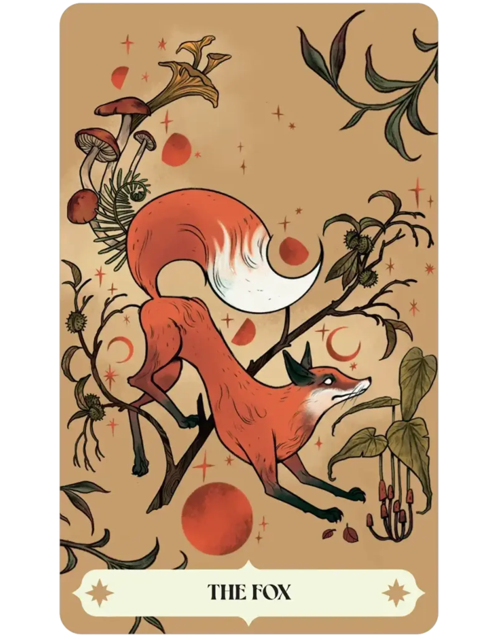 US Games Herbana Witch Oracle