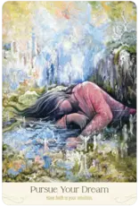 US Games Soul's Journey Oracle