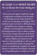 US Games Earth Warriors Oracle Pocket Purpose Ed.