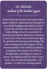 US Games Earth Warriors Oracle Pocket Purpose Ed.