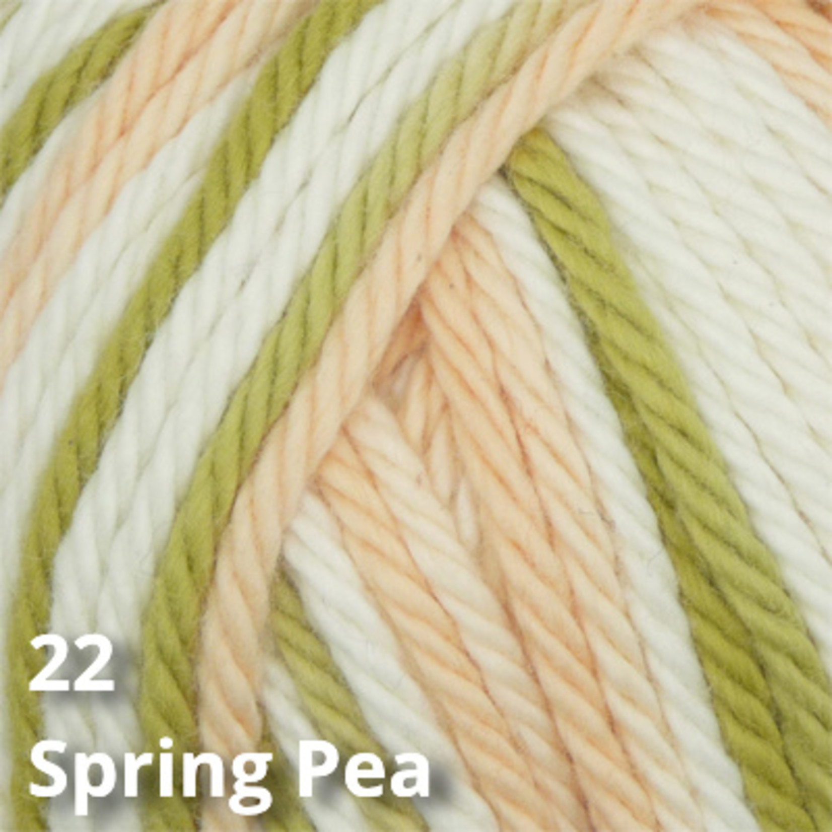 Estelle Yarns Estelle Sudz Multi (D)