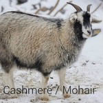 Cashmere/Mohair/Qiviut