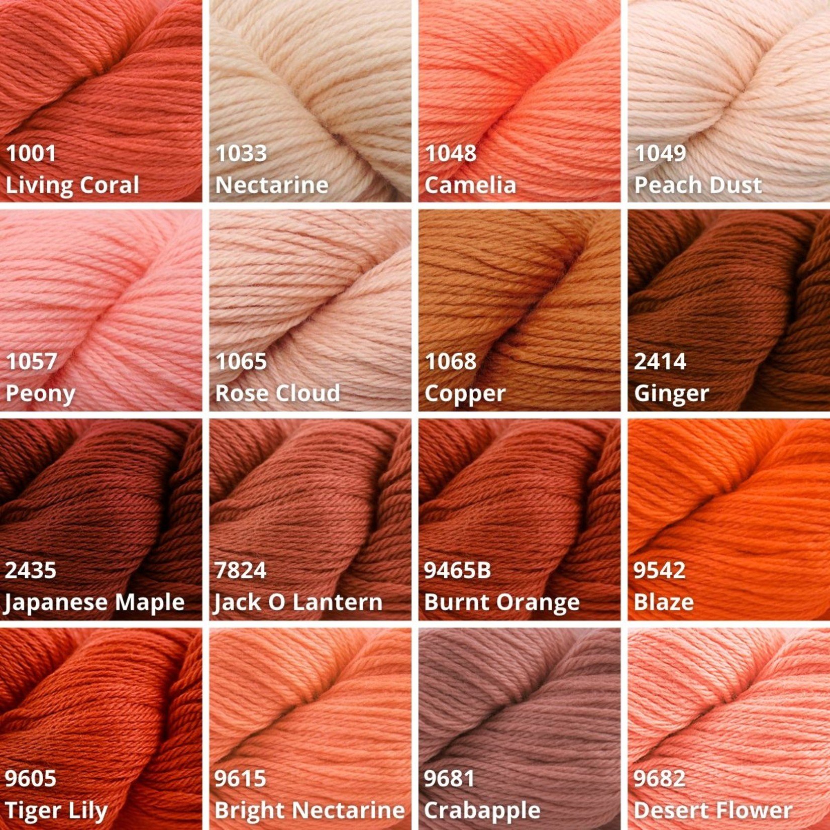 Cascade Cascade 220 Solids