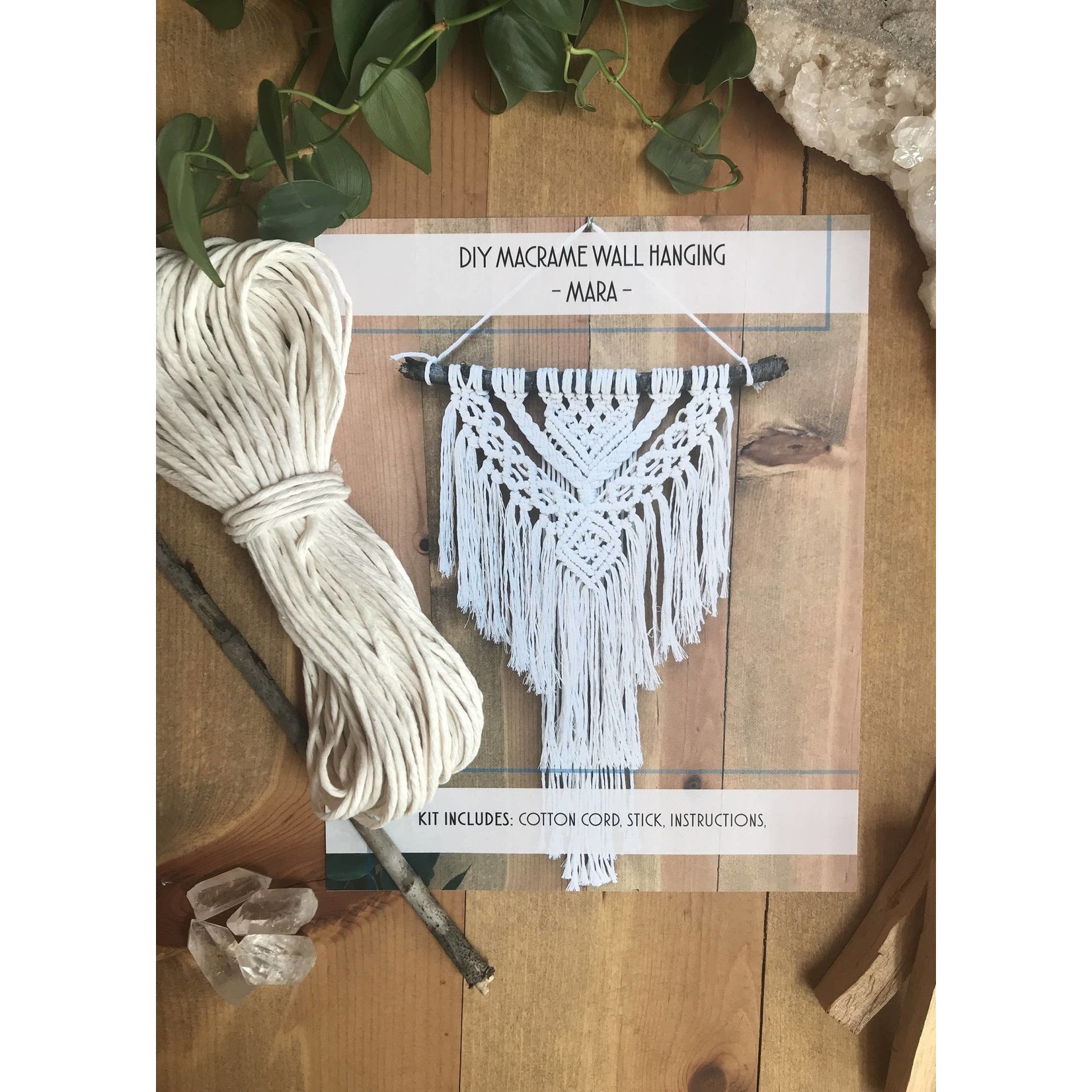 DIY Macrame Air Plant Hanger Kit - The Anika