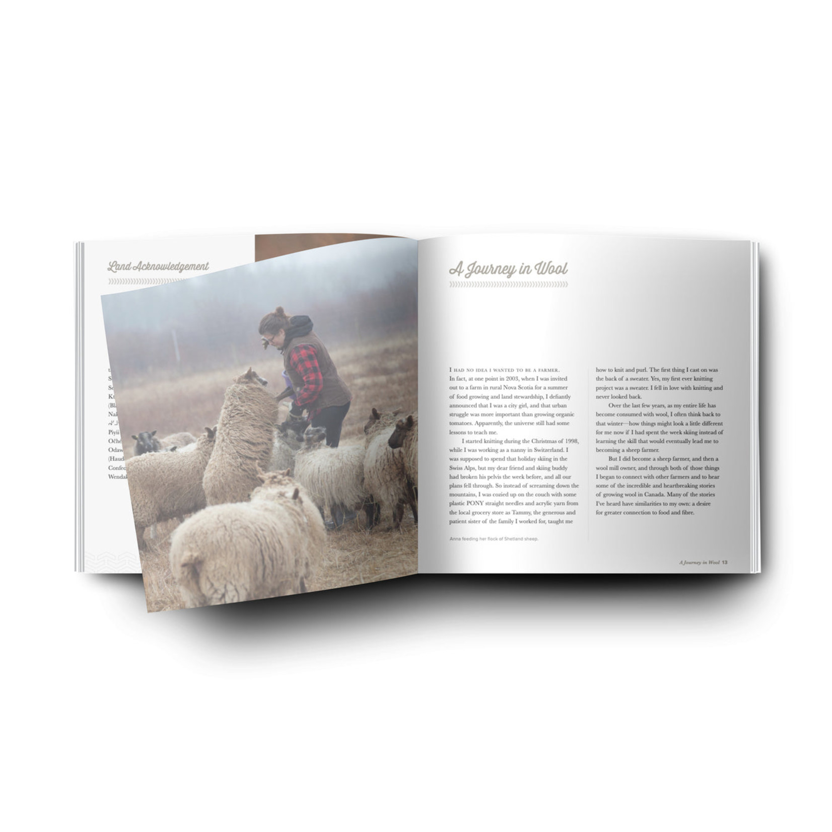 Sheep, Shepherd & Land