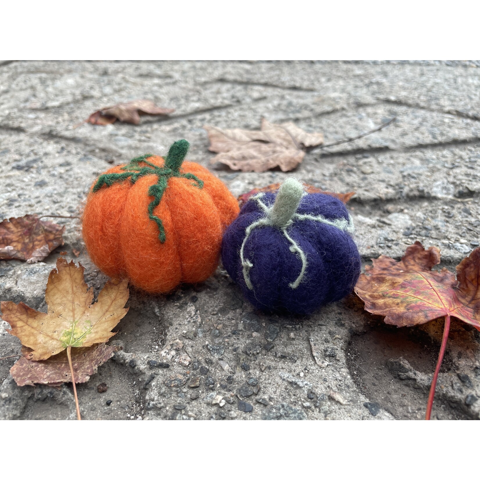 Baaad Anna's Yarn Store Beginner Felting Class