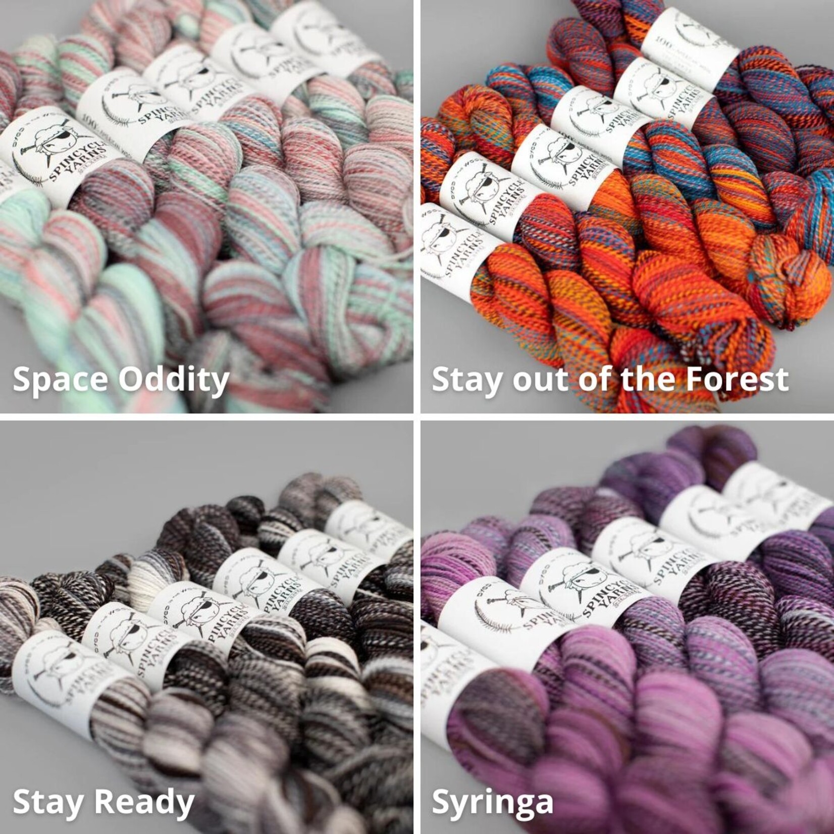 Spincycle Yarns Spincycle Dyed in the Wool
