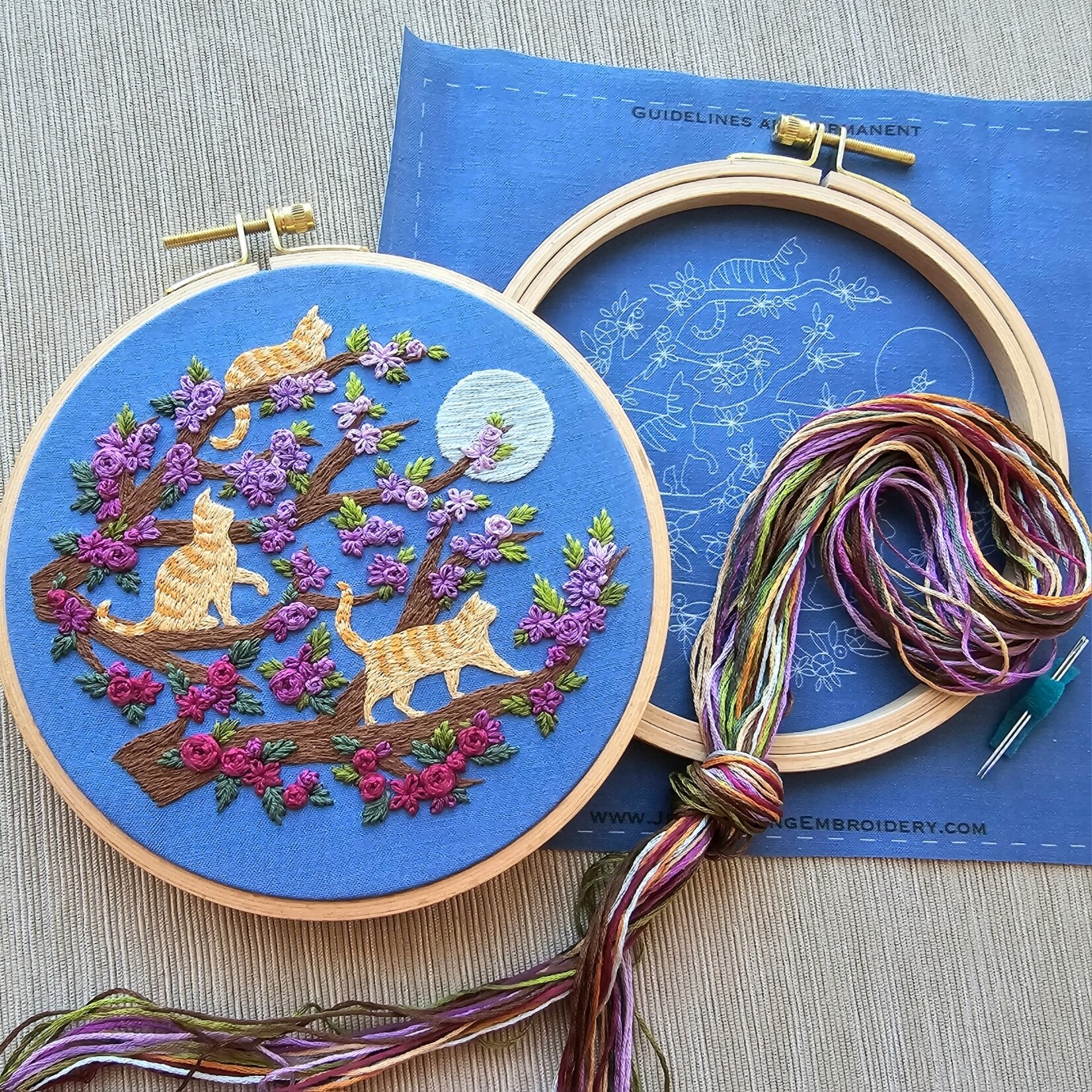 Jessica Long Embroidery Kit