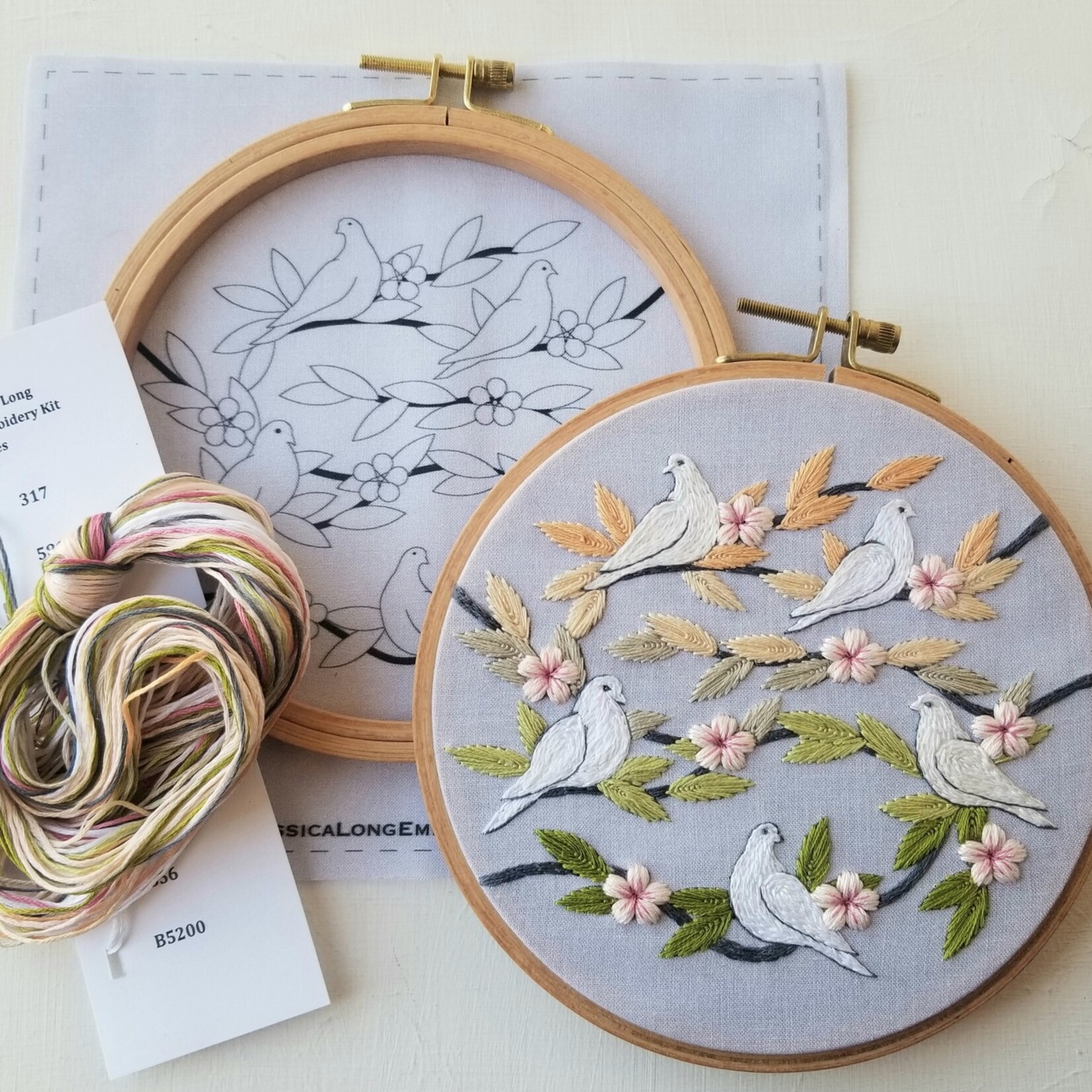 Jessica Long Embroidery Kit