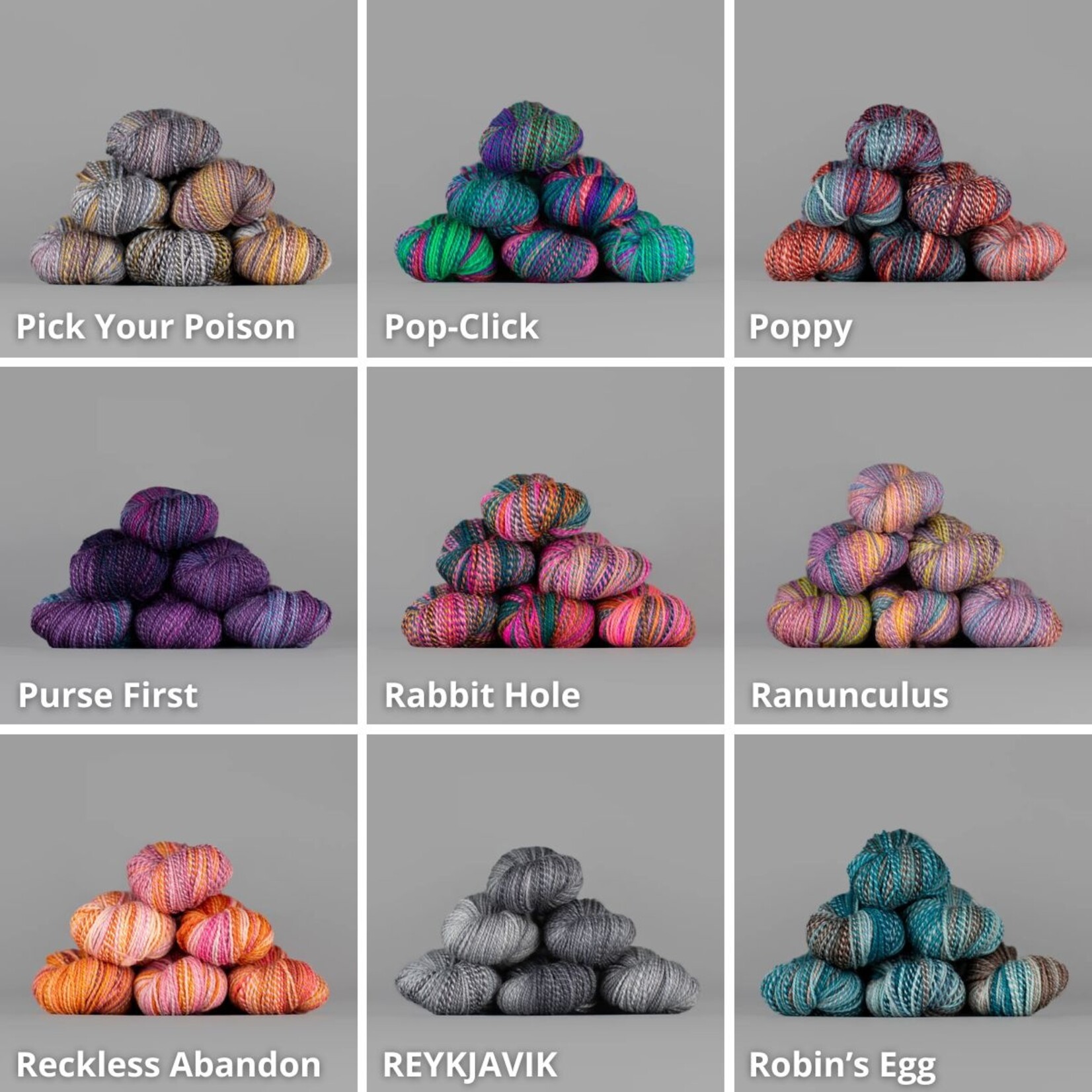 Spincycle Yarns Spincycle Dyed in the Wool