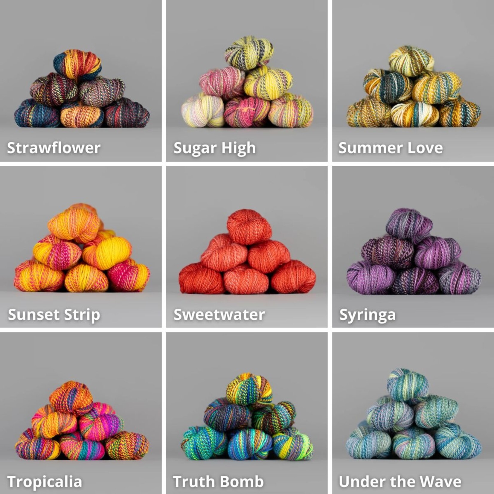 Spincycle Yarns Spincycle Dyed in the Wool