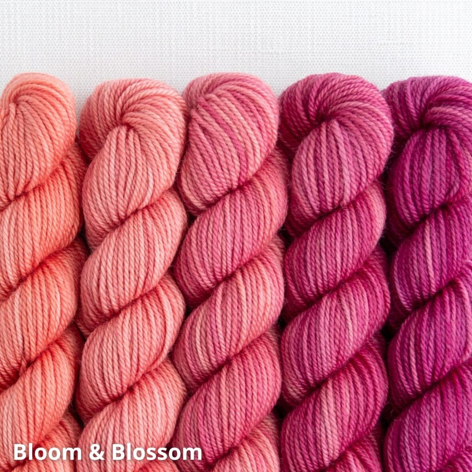 Sweet Georgia Yarns Sweet Georgia Party of Five Tough Love Sock