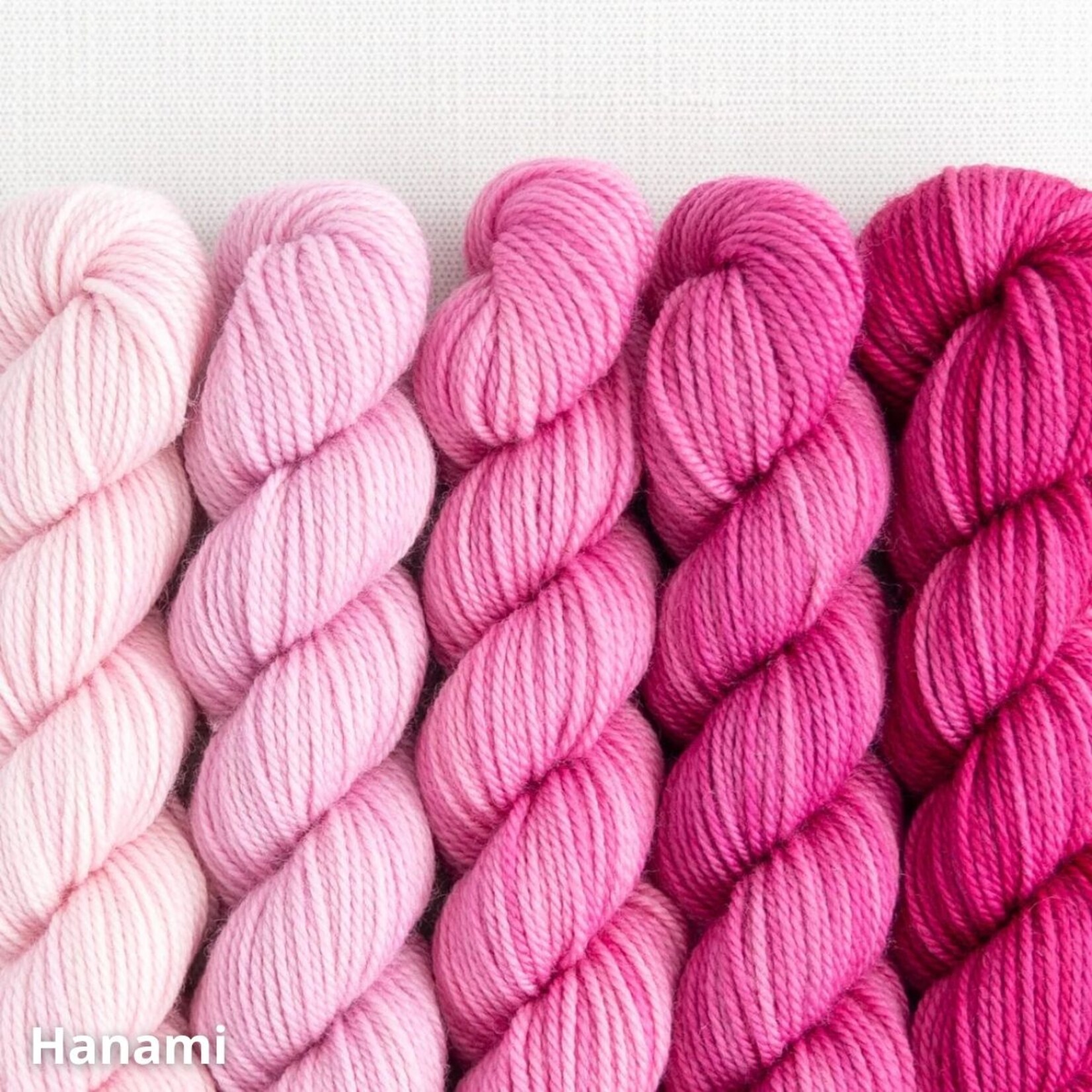 Sweet Georgia Yarns Sweet Georgia Party of Five Tough Love Sock