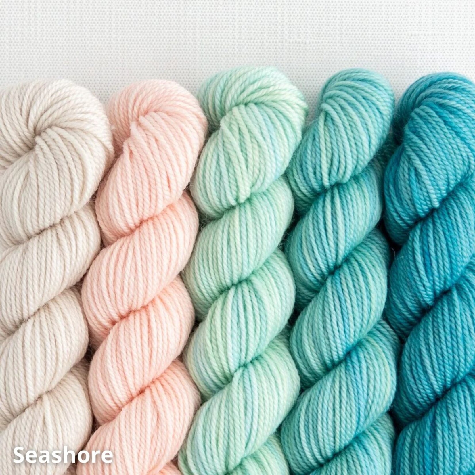 Sweet Georgia Yarns Sweet Georgia Party of Five Tough Love Sock