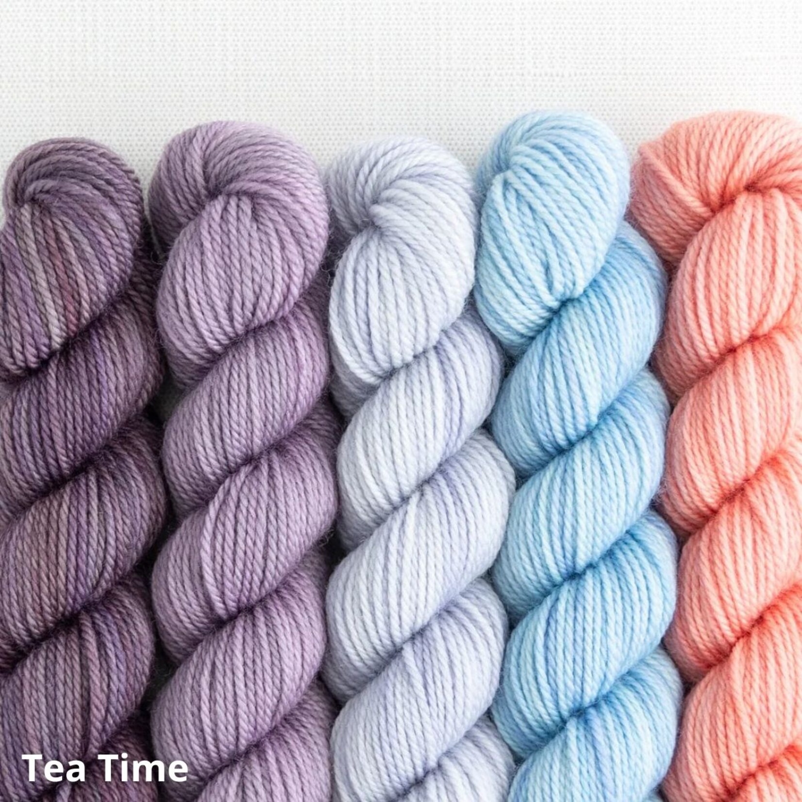 Sweet Georgia Yarns Sweet Georgia Party of Five Tough Love Sock