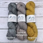 Mailles a Part Mailles a Part BFL Steel Sock