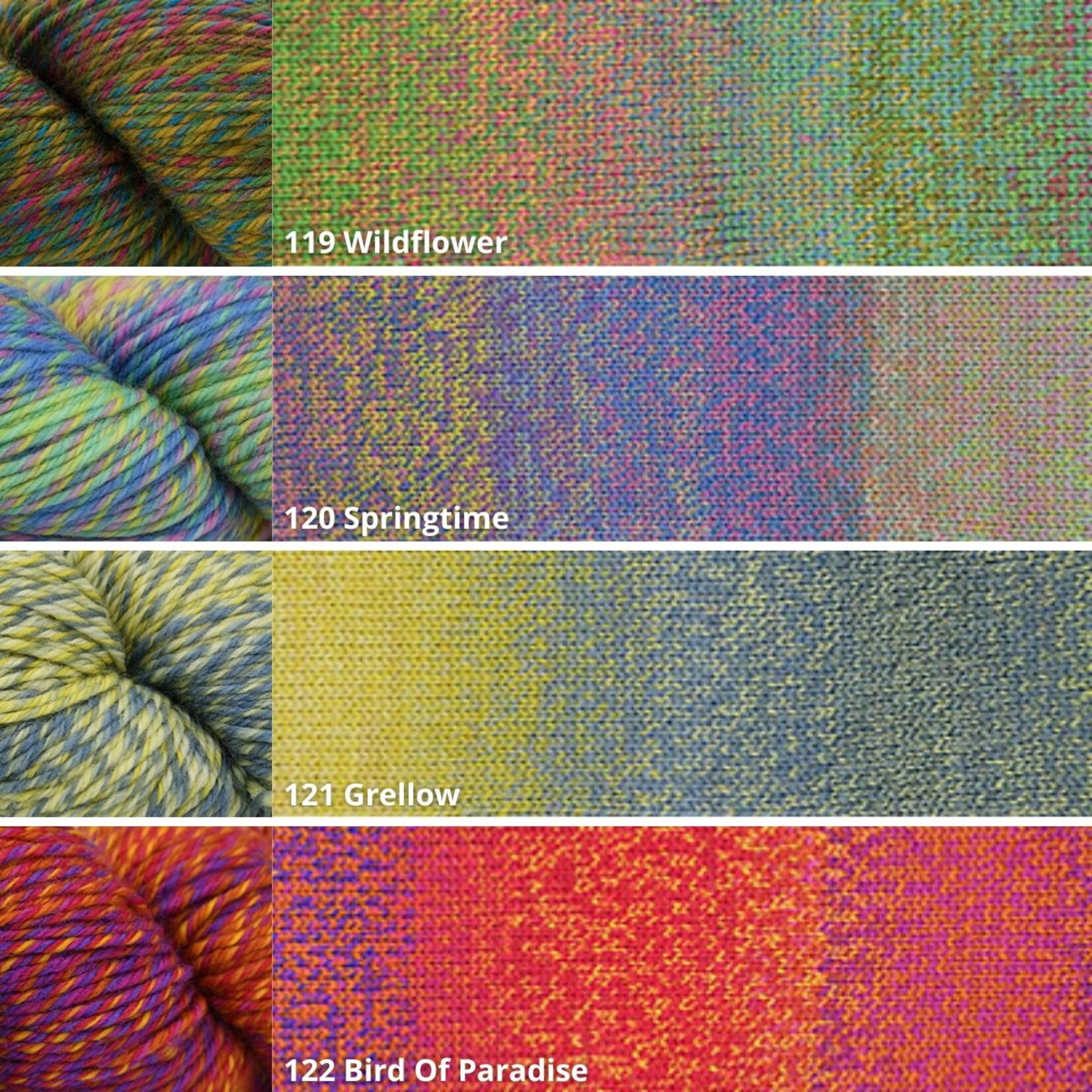 Cascade Cascade 220 Superwash Wave