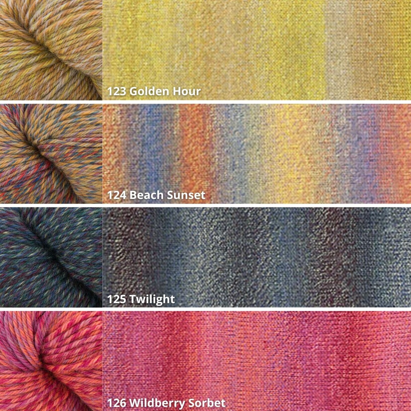 Cascade Cascade 220 Superwash Wave