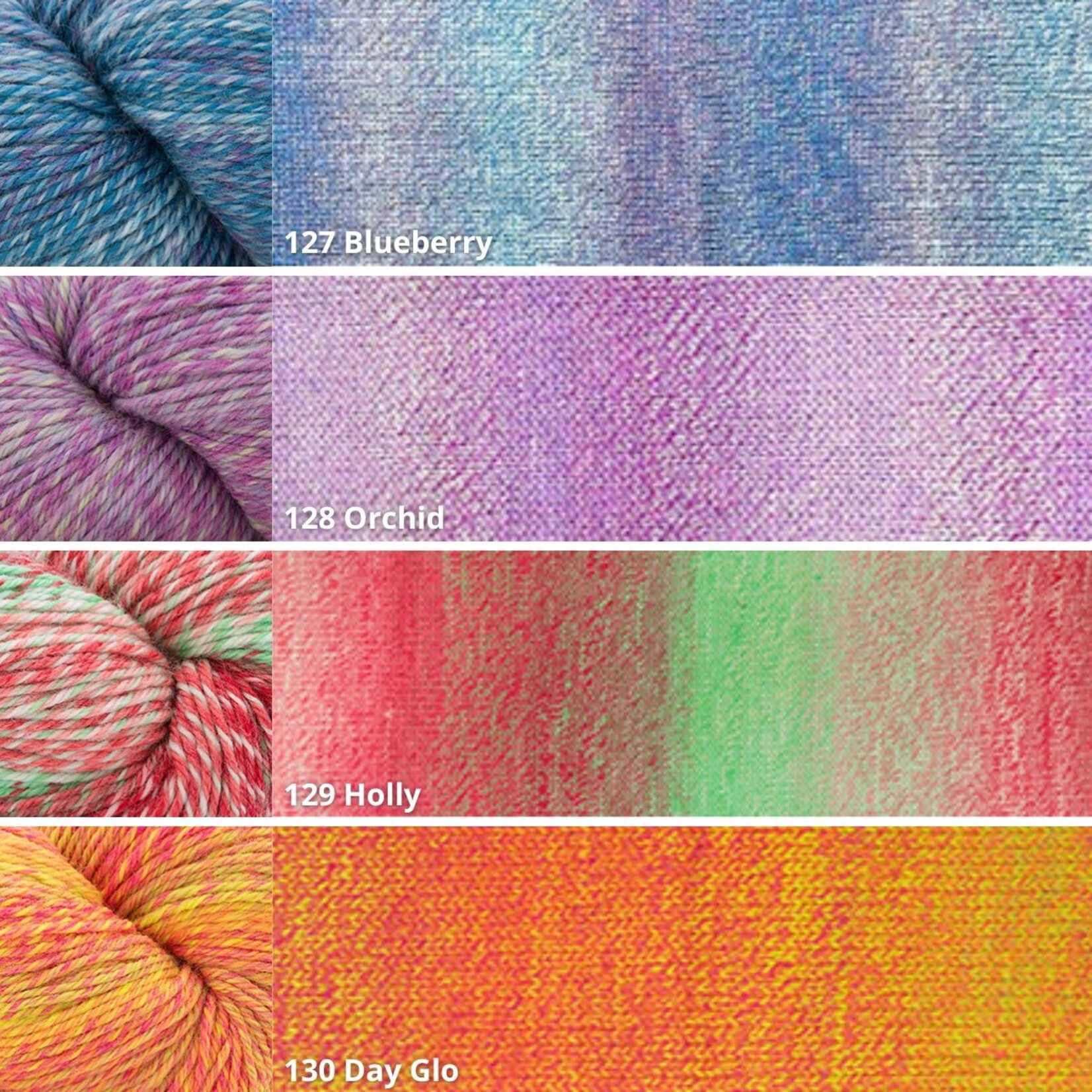 Cascade Cascade 220 Superwash Wave
