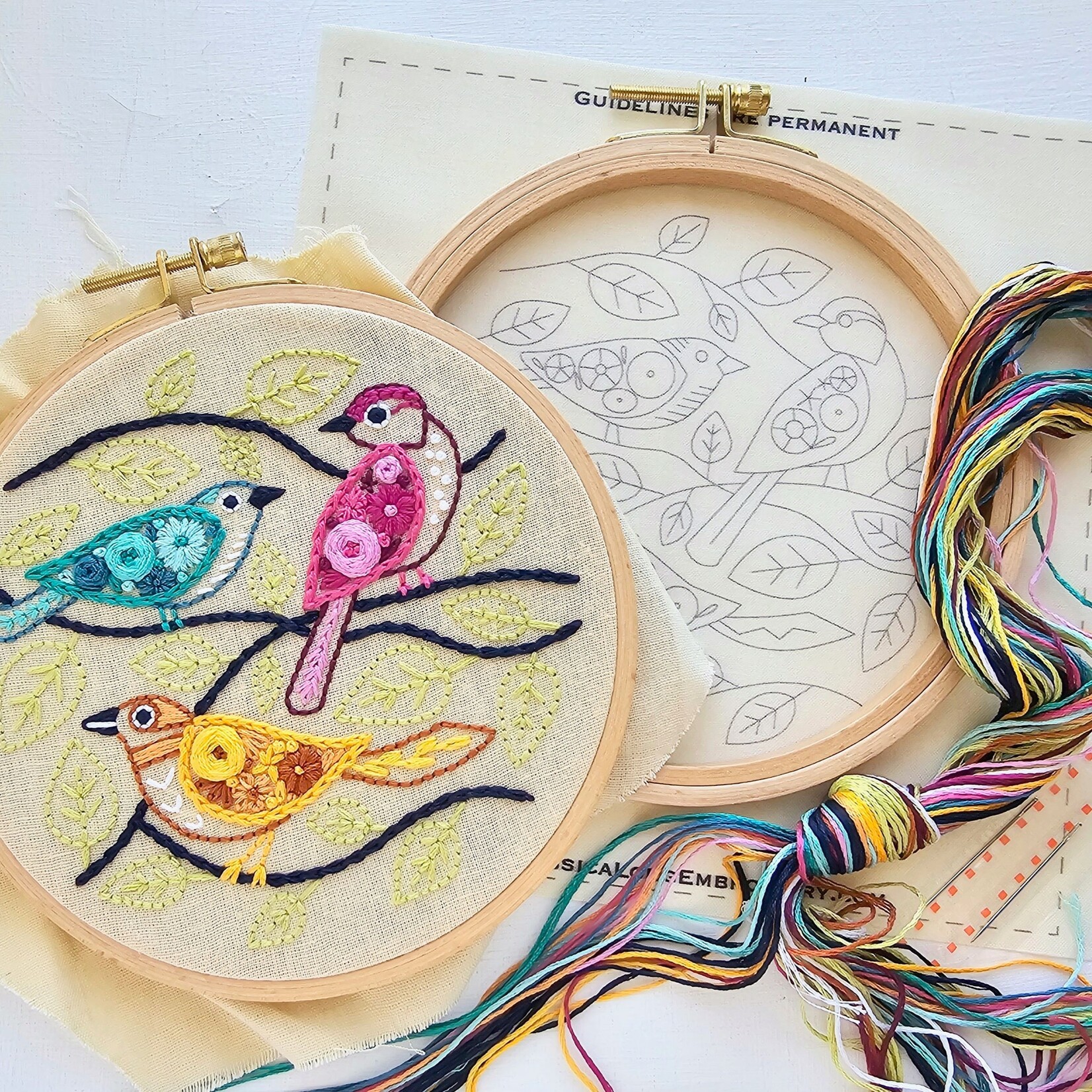 Jessica Long Embroidery Kit