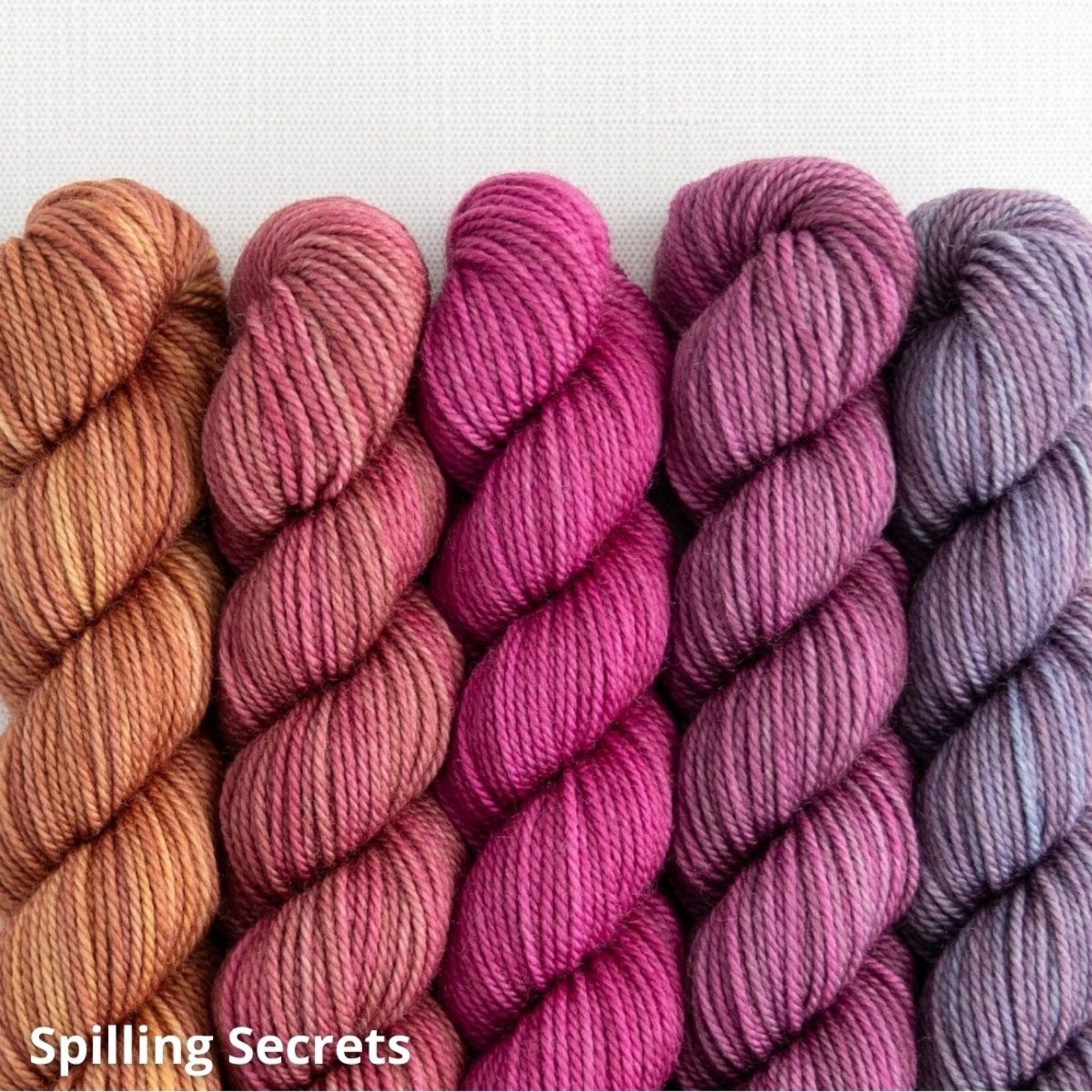 Sweet Georgia Yarns Sweet Georgia Party of Five Tough Love Sock