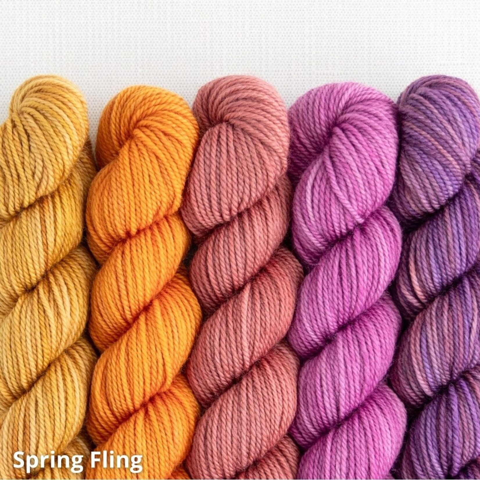 Sweet Georgia Yarns Sweet Georgia Party of Five Tough Love Sock