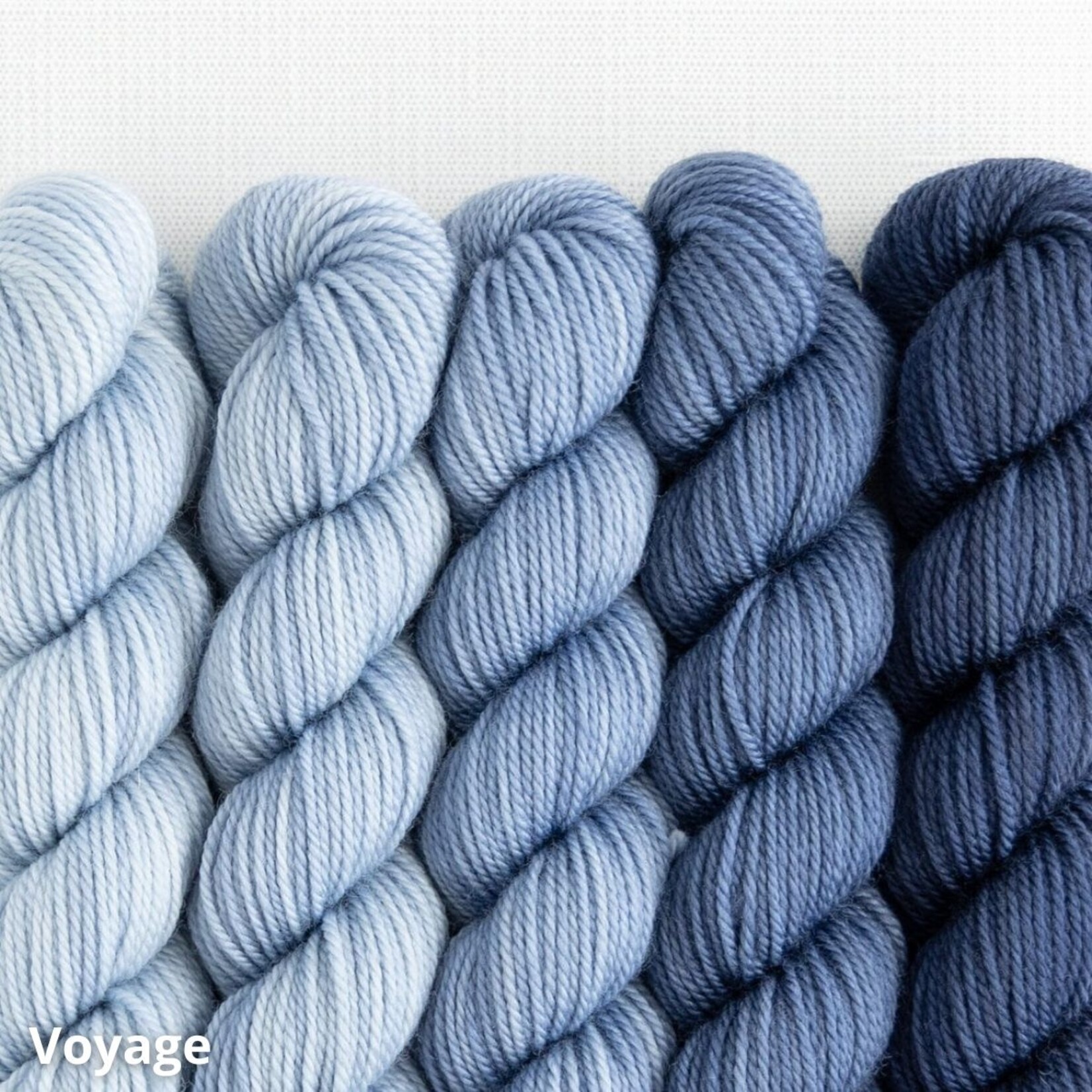 Sweet Georgia Yarns Sweet Georgia Party of Five Tough Love Sock