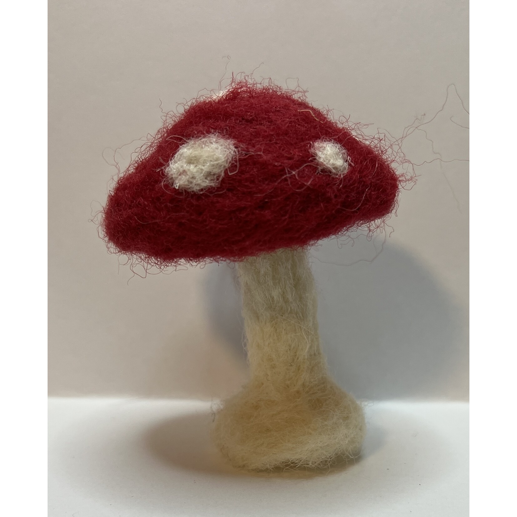Kids Class! Learn to Needle Felt