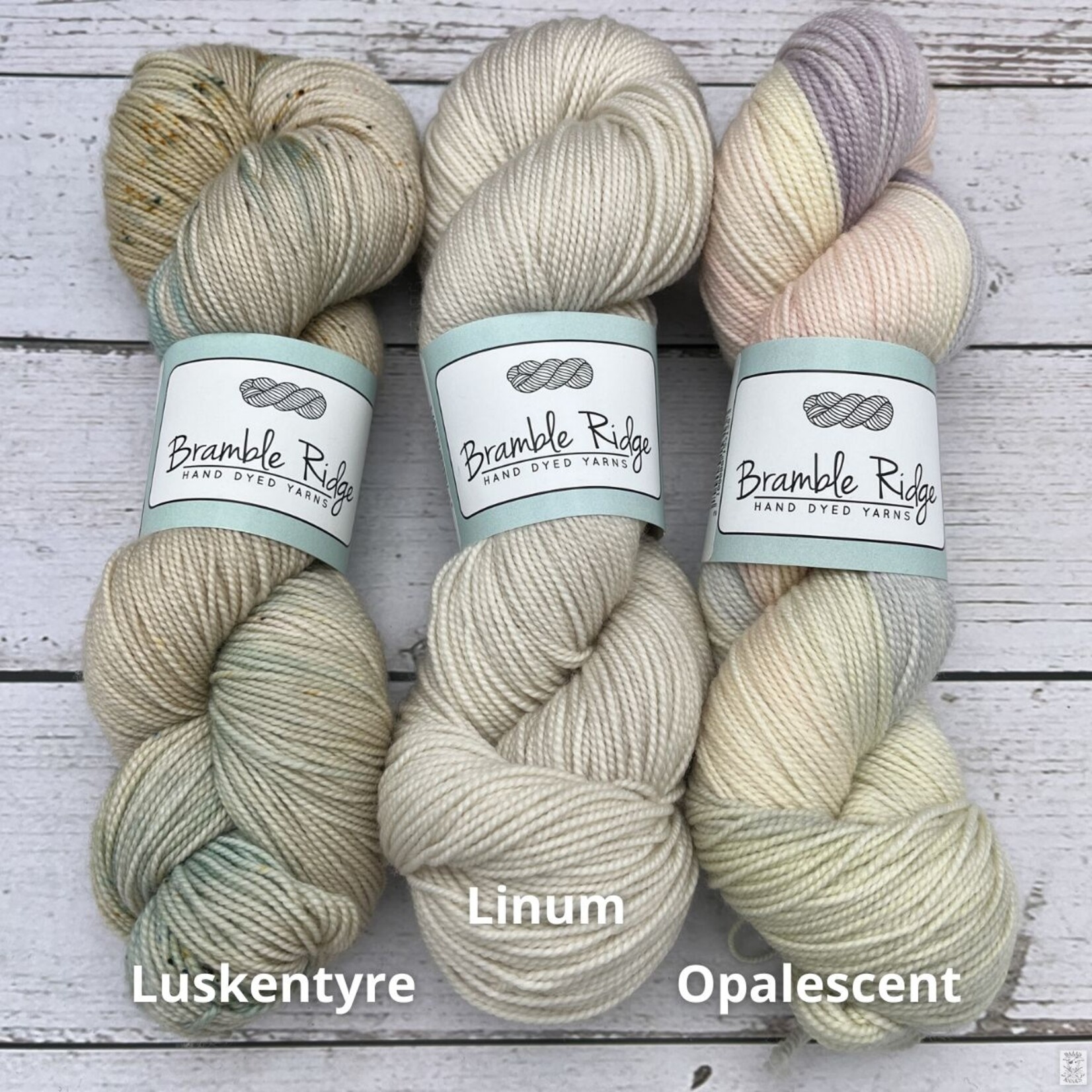 Bramble Ridge Bramble Ridge Sock