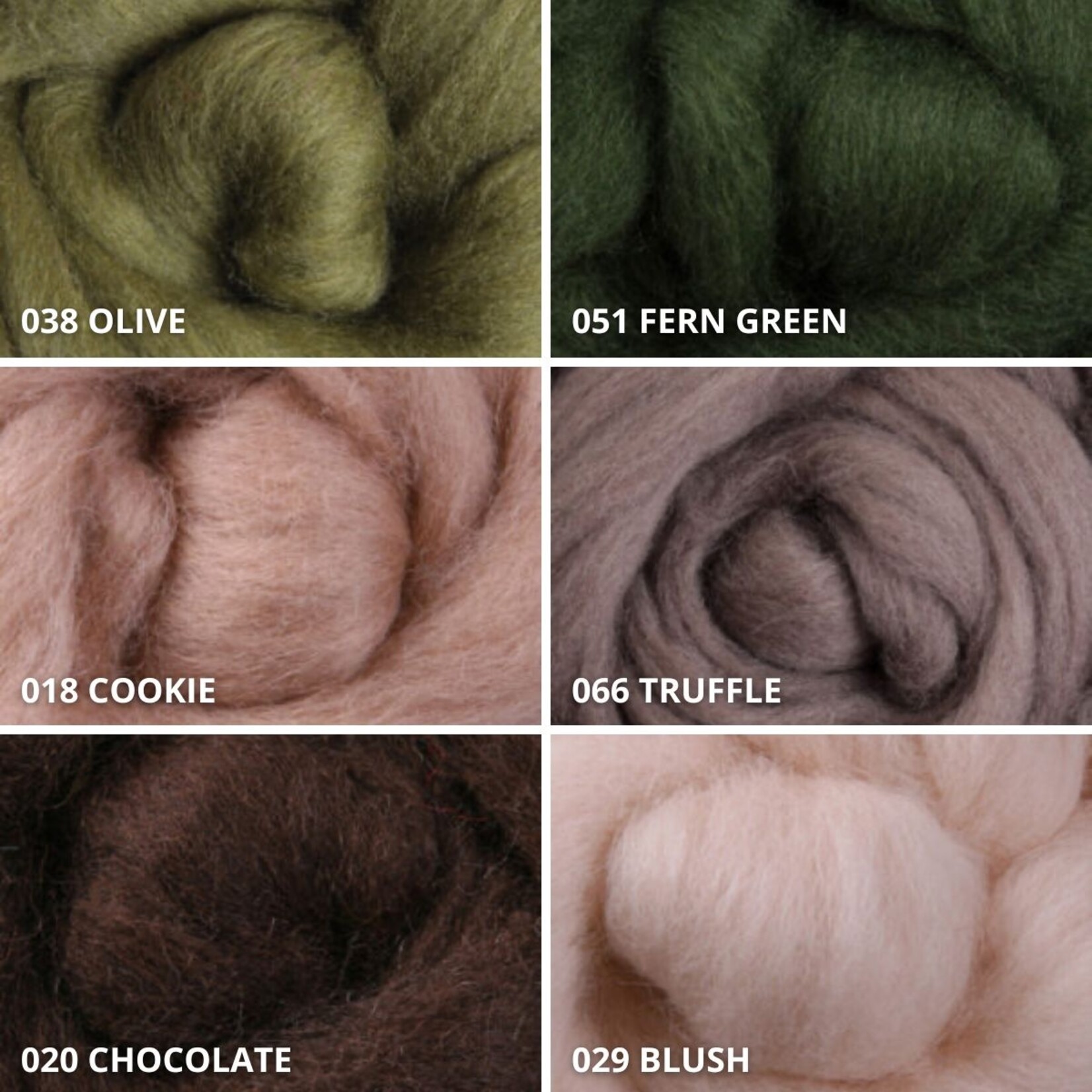 Ashford Corriedale Top Roving 50g