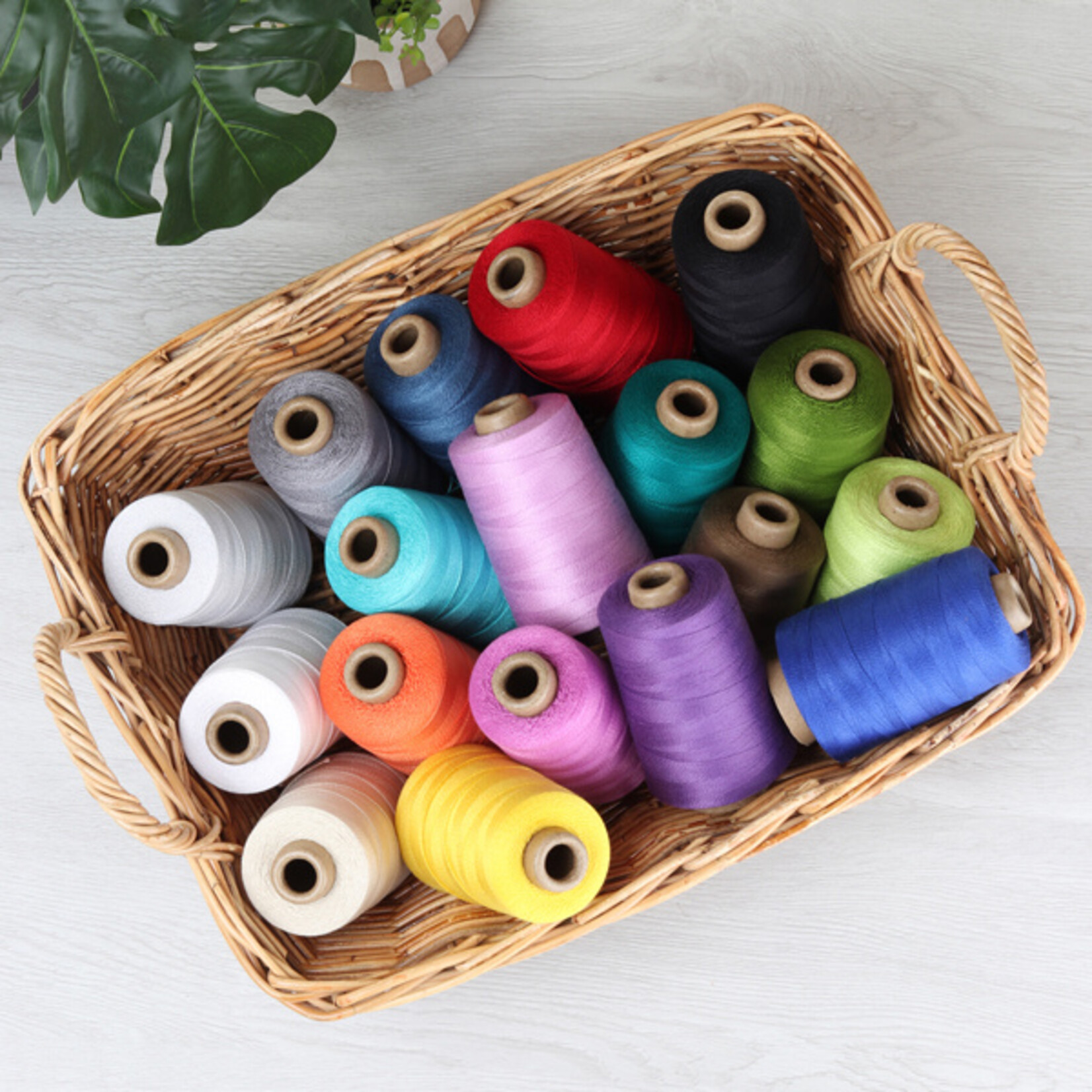 Ashford Ashford Mercerised Cotton 5/2, 200g